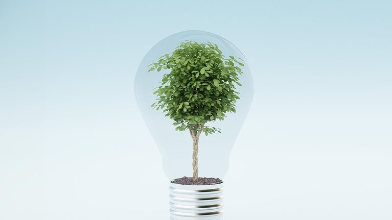 Light bulb with plant - stock photo