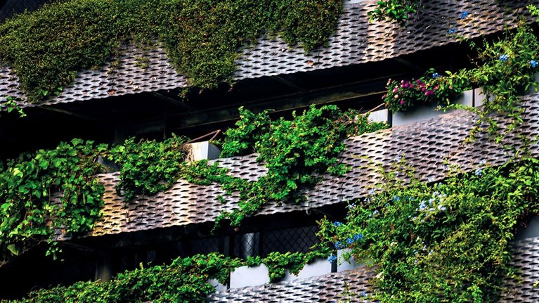 Building covered with vertical garden in the city