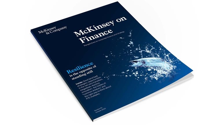 McKinsey on Finance Number 81