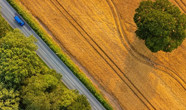 Overhead view of fields