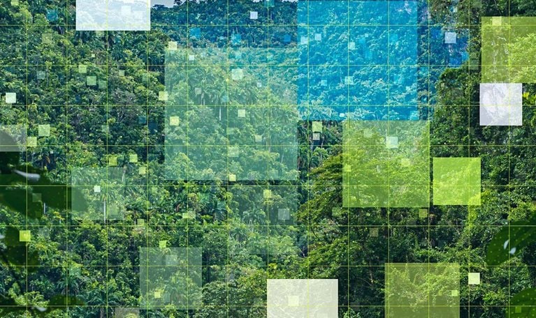 A photo of a lush green landscape with a digital overlay of squares