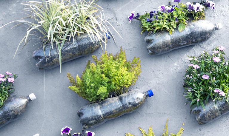 Plastic pop bottle wall garden