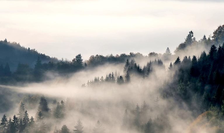 A time-lapse video captures rolling fog clouds above forested hills as morning light shines through.