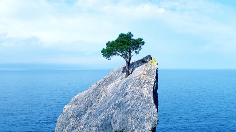 Image of a solitary tree on a large rock island in the middle of the ocean