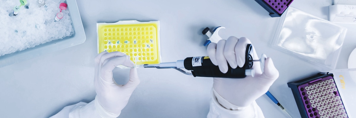 Photo of gloved hands in a lab