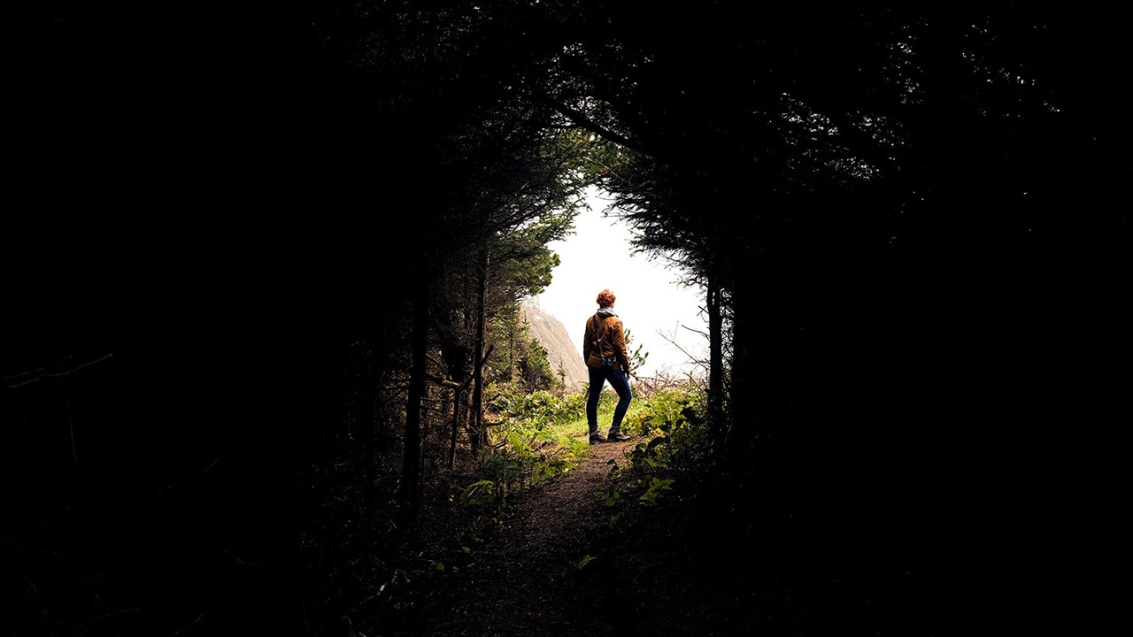 Image of a person emerging from a clouded forest