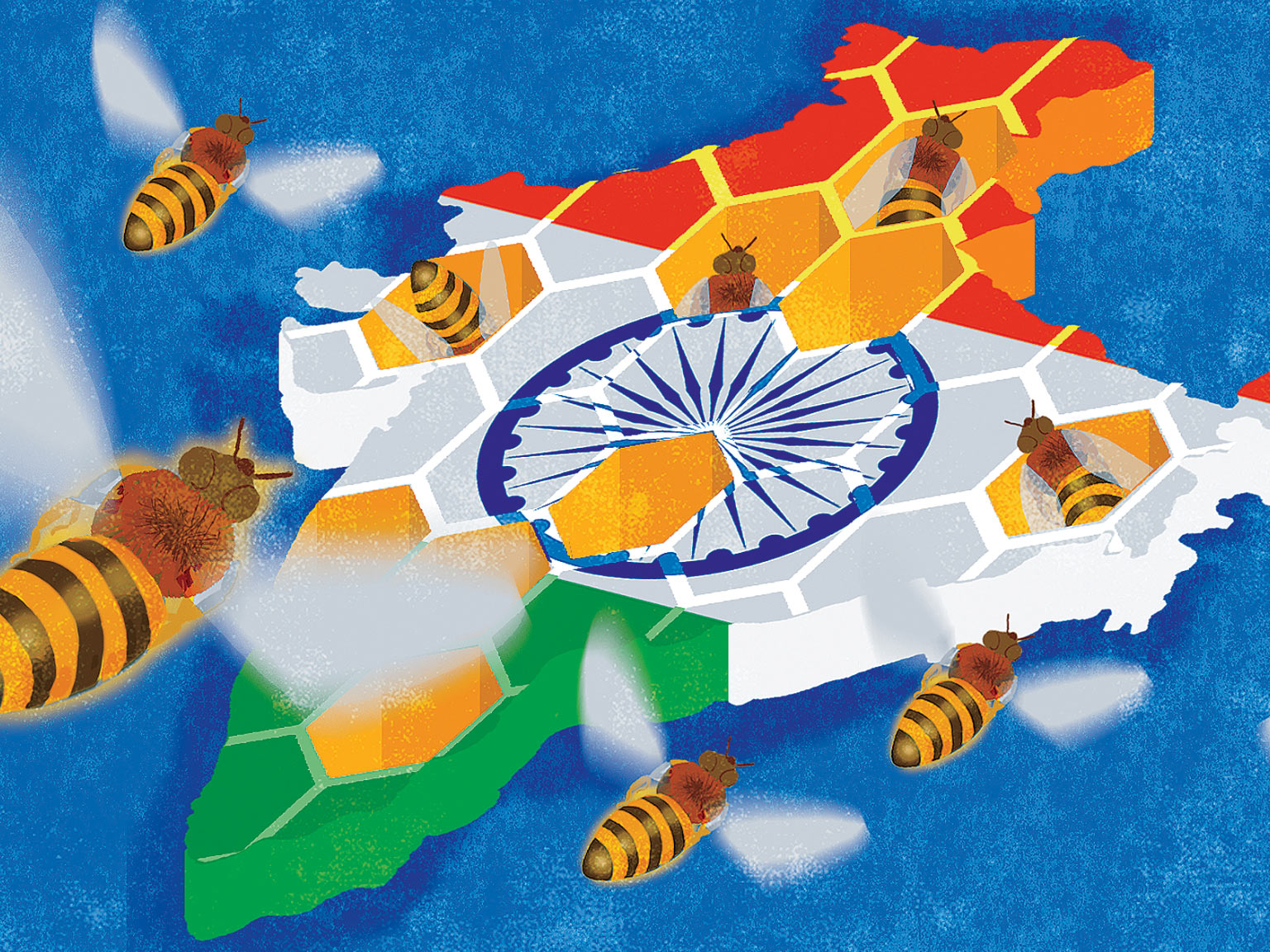 How Multinationals Can Win In India McKinsey