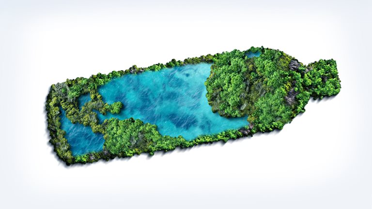 Digital image of a green cover and blue waters in the shape of a bottle