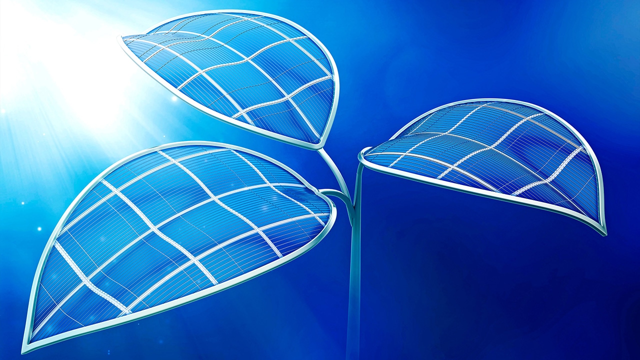 Illustration of a digital plant with large blue leaves spreading away from the stem