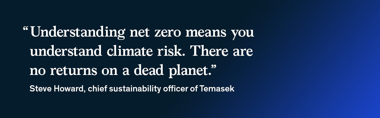 Image of a quote that reads, 'Understanding net zero means you understand climate risk. There are no returns on a dead planet,' from Steve Howard.