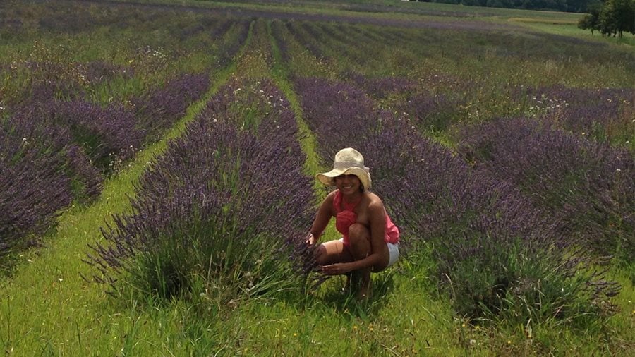 Shrankhla Holecek sitting in a field of lavender