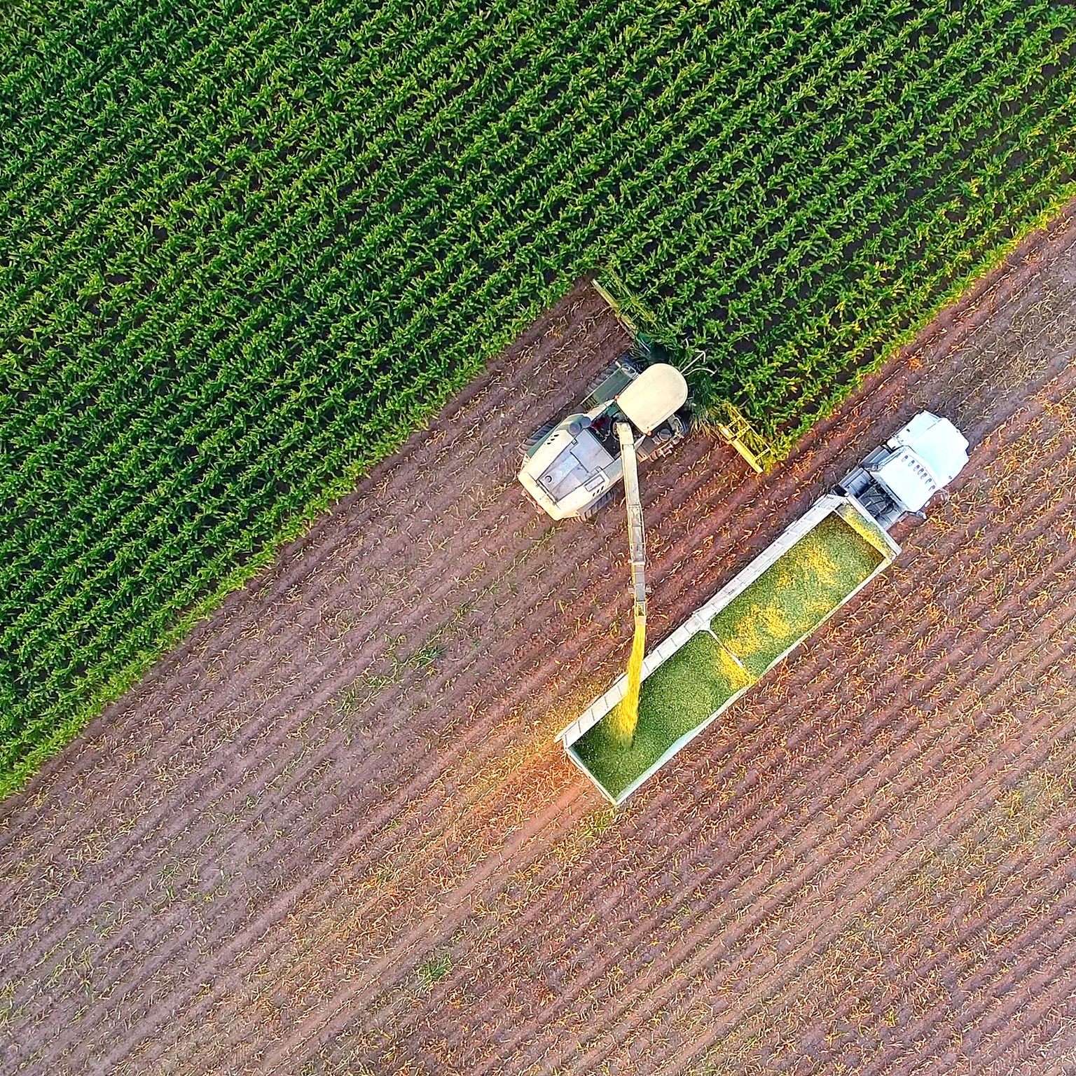 化学行业：通过及时和量身定制的行动实现成功