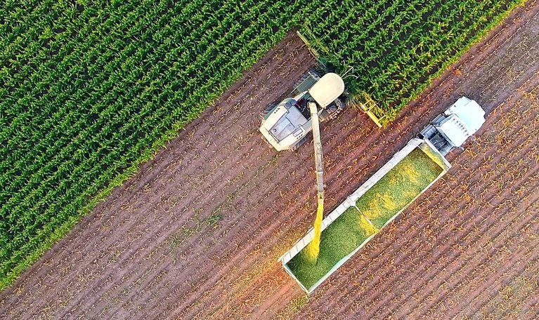 Tractor and farm machines harvesting corn in Autumn, aerial view