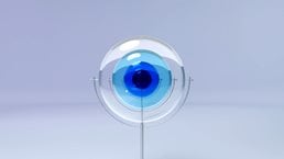 A sculpture made of four glass lenses, supported by delicate metal structures, creates an abstract display. The lenses, with their opaque blue hues and varying sizes, sway to eventually align and resemble an eye and iris.