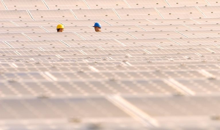 Capturing the net-zero opportunity with portfolio synergies