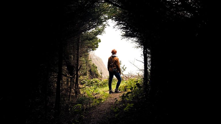 A woman standing at the end of a tunnel of trees.