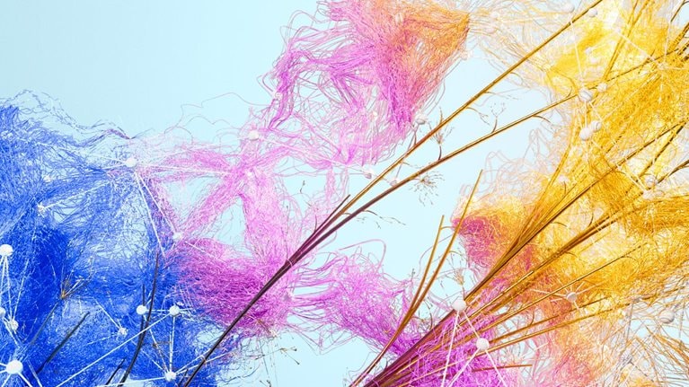 A network of vibrant threads, transitioning from blue to pink to golden yellow, sprouts over a lattice of crisscrossing branches and small white beads, all against a soft blue backdrop.