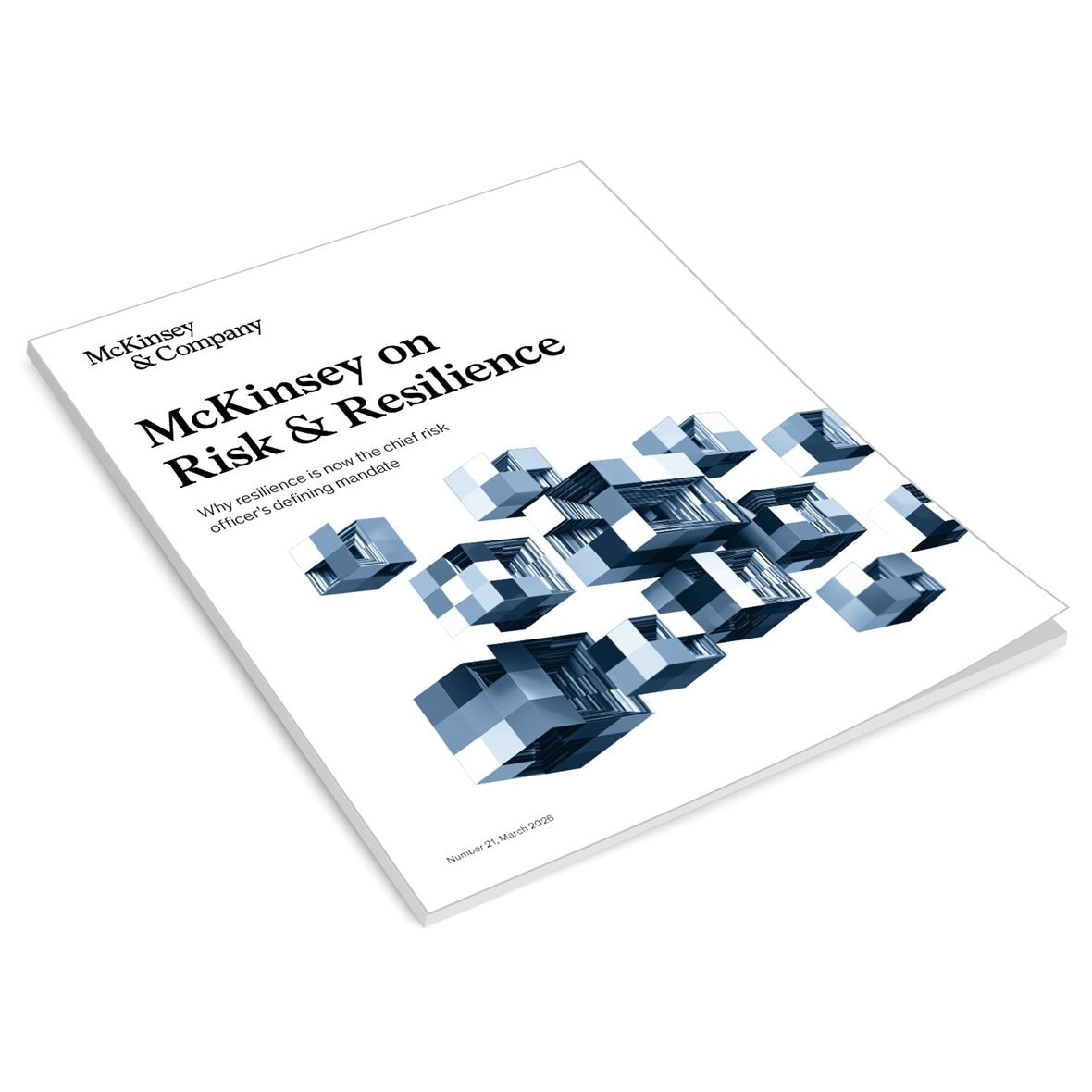 McKinsey on Risk & Resilience Why resilience is now the chief risk officer's defining mandate Number 21, March 2026