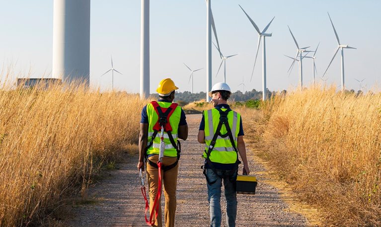 Two engineers at wind farm, walking together, rear view - stock photo