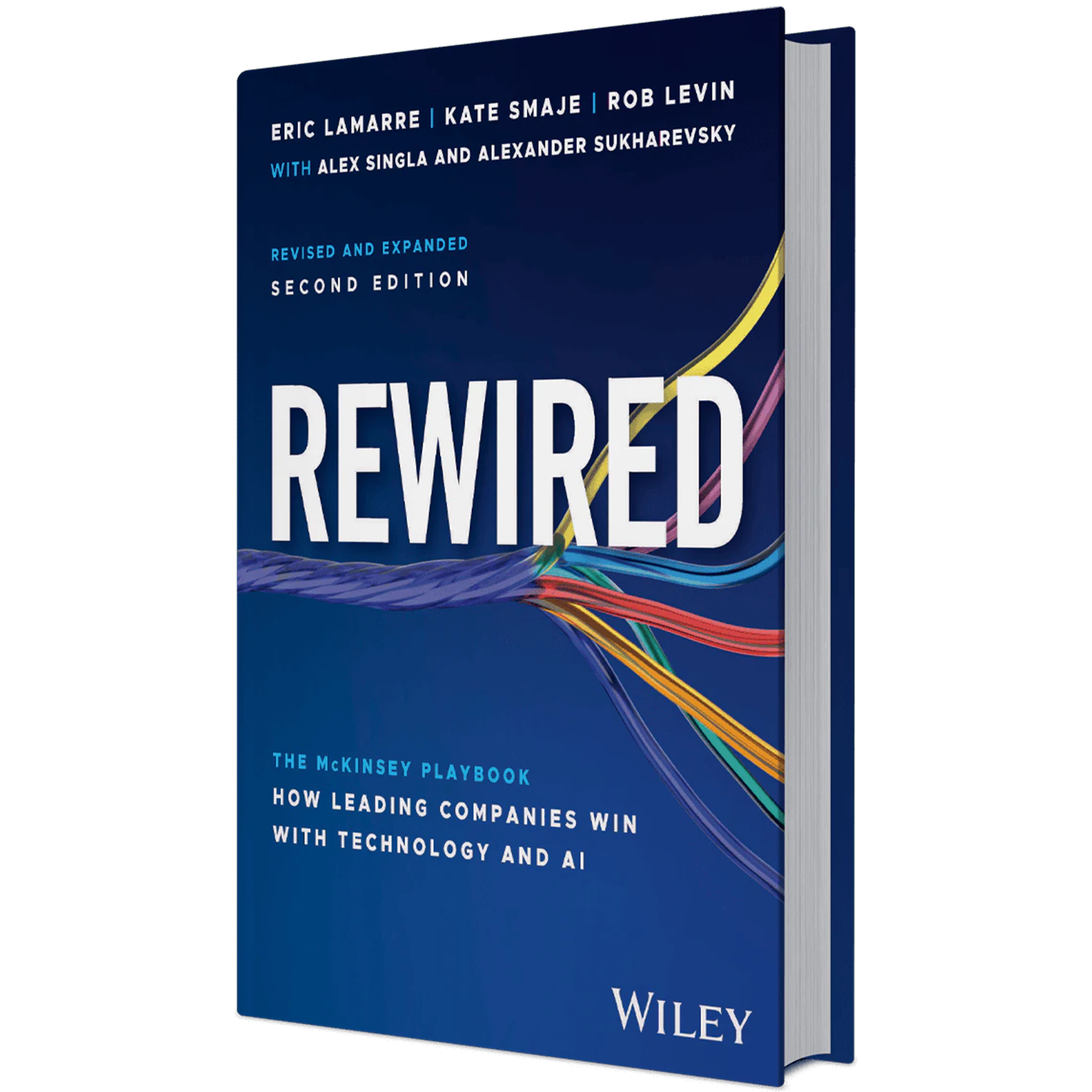 3D Image of the Rewired book