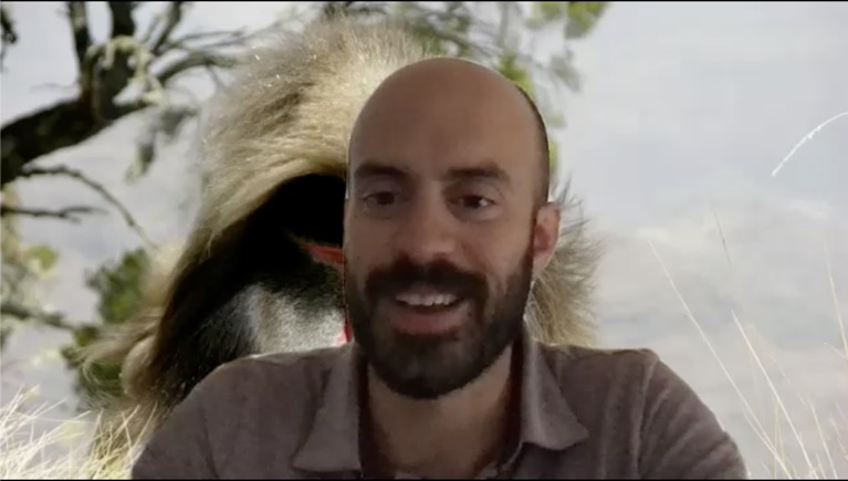 This data scientist is not monkeying around