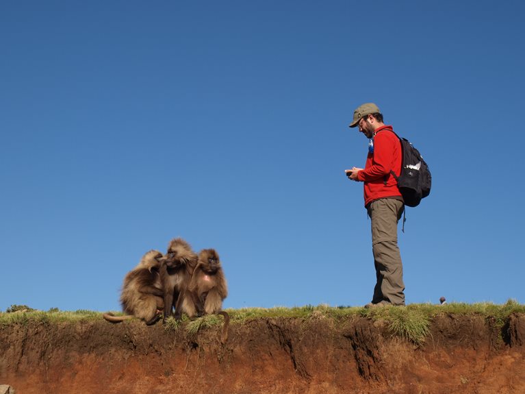 This data scientist is not monkeying around