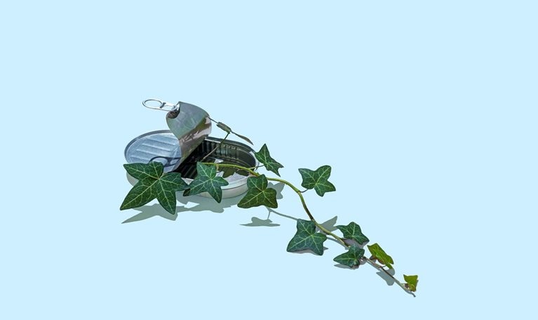 A vine of green ivy growing from an aluminum sardine tin on a light blue background.
