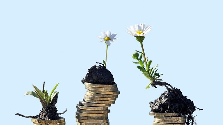 Three stacks of coins of different heights. Small daisy seedlings of varying maturity are placed on top of each stack.