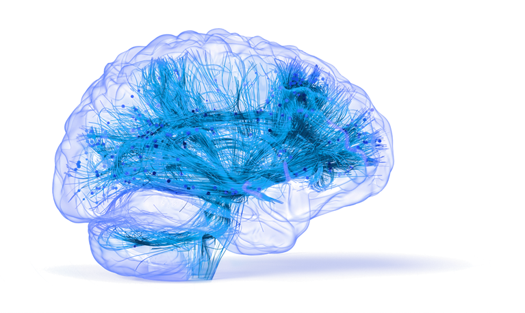 Brain capital: Helping individuals, organizations, and societies thrive in the age of AI