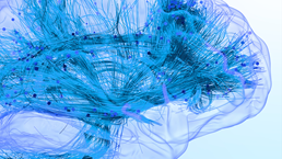 McKinsey Live Webinar promo - Brain health: Helping individuals, economies, and societies thrive in the age of AI
