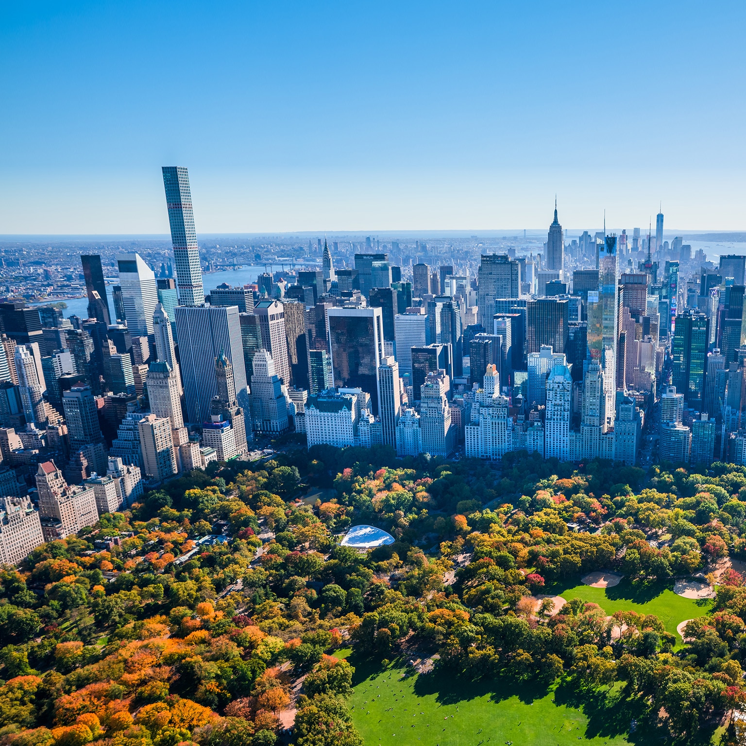 Climate Week NYC: Creating a nature-positive future | McKinsey