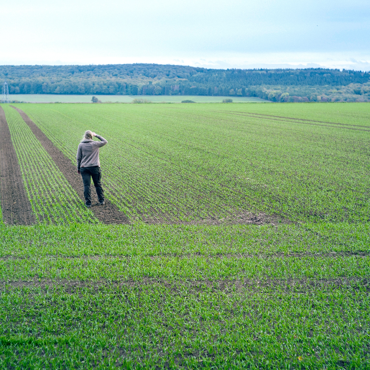 European farmers pursue sustainability, cautious about profitability