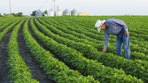 Agriculture S Technology Future How Connectivity Can Yield New Growth Mckinsey