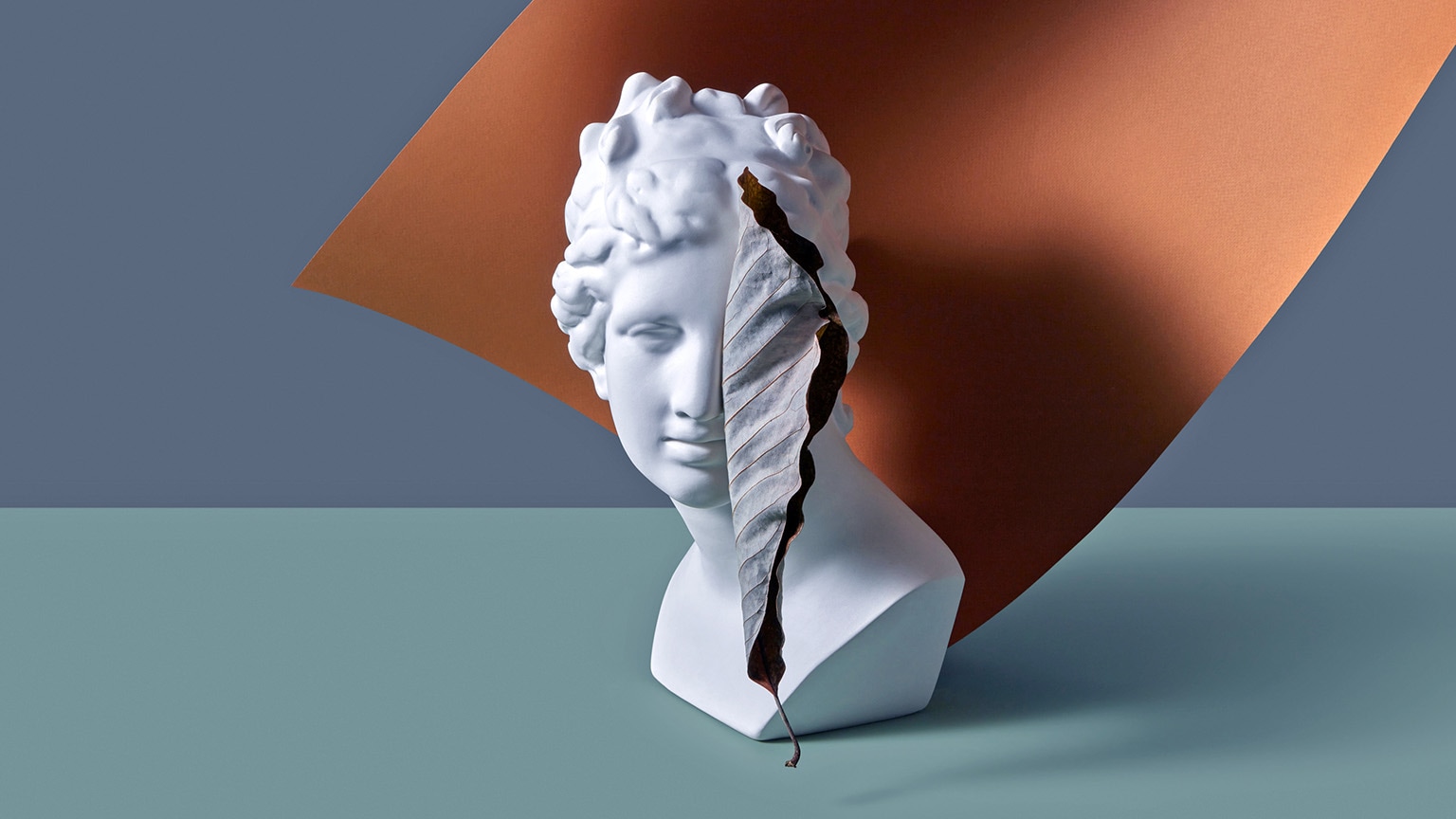 A dried leaf partially obstructs the view of a marble bust depicting a young woman.