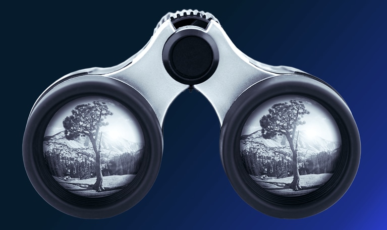 Blue toned binoculars