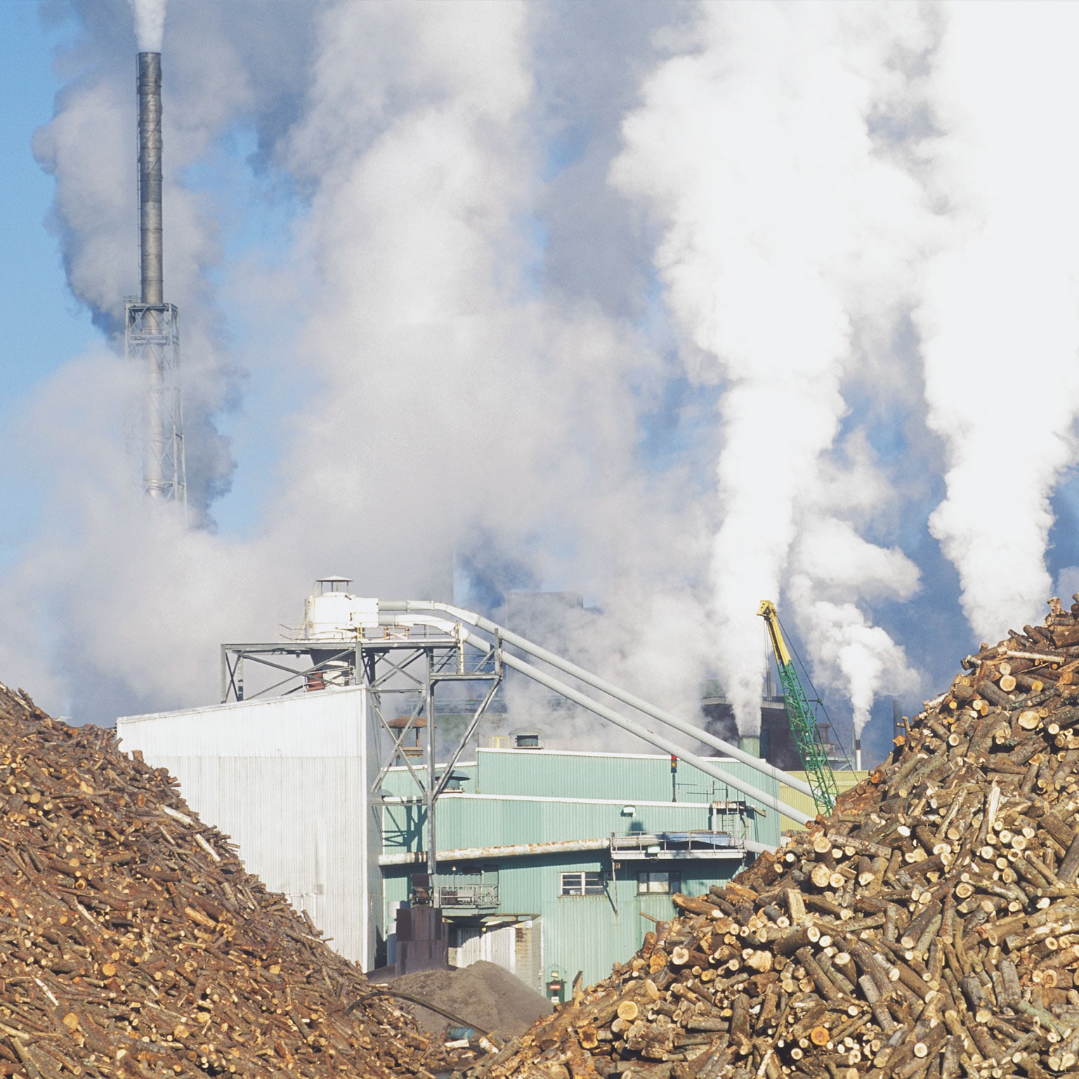 Paper mill to increase recycling capacity