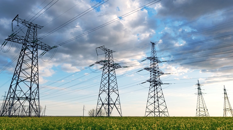 Power lines and high-voltage lines against the backdrop of blooming oilseed rape on a summer day.