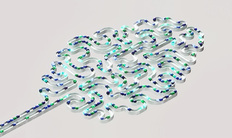 3D image of a brain-shaped labyrinth filled with spheres moving through winding channels.